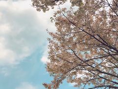 -棒棰岛宾馆景区
