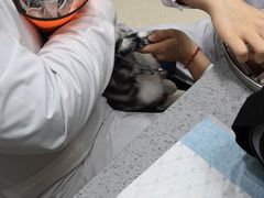 -萌兽医馆·绝育·24小时内科·宠物医院(德胜店)