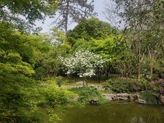 -秋霞圃