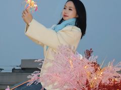 -WFC会仙楼观景台
