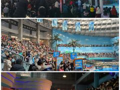 -海合安成都极地海洋公园