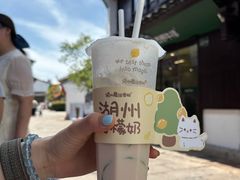 -猫的魔法密林(衣裳街店)