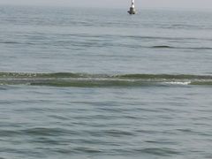 -巢湖姥山岛