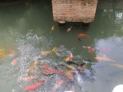 -千滋百味·醉江澜花园餐厅(街道口店)