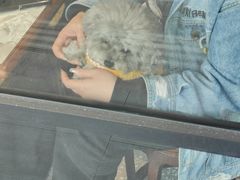 -鲜得来排骨年糕(即墨路店)