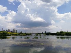 -永定河休闲森林公园