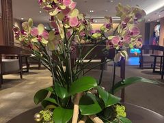 -台北北投丽禧温泉酒店