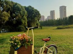 -长白岛森林公园