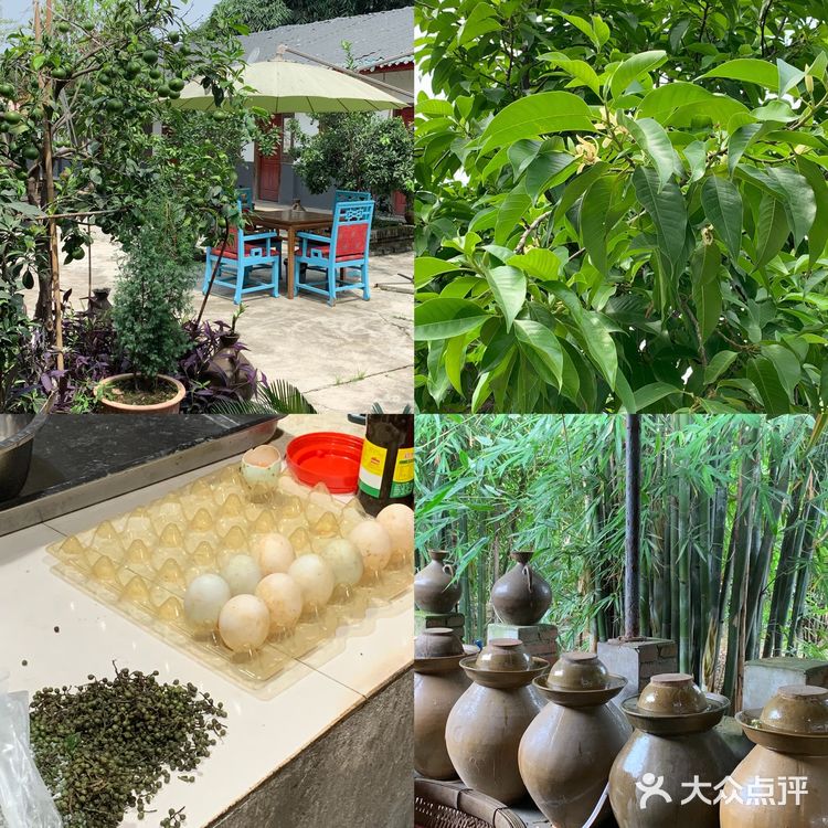 眉山探店｜九芳-乐山周边的宝藏农场👨🏻‍🌾 