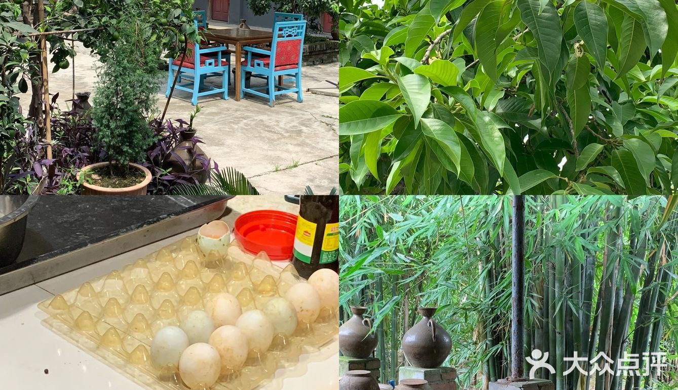 眉山探店｜九芳-乐山周边的宝藏农场👨🏻‍🌾 