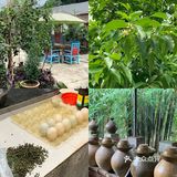 眉山探店｜九芳-乐山周边的宝藏农场👨🏻‍🌾 