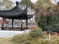 -昆山城市生态森林公园