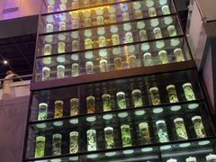 -广东中医药博物馆