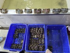 -七的湖·江南蟹舫·阳澄湖农家菜(蟹舫苑店)