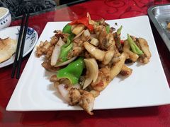 -煲来饱去冷水鱼