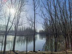 -东郊湿地公园