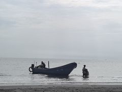 -盐洲岛
