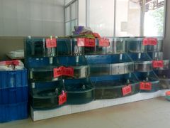 水产区-聚德福海鲜家常菜(刘庄店)