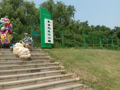 -长白岛森林公园