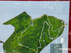 -白水寺森林公园