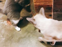 -MIKAKU(万达广场上海宝山店)