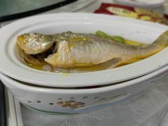 鸡汁大黄鱼-琼林徽宴(中央门店)