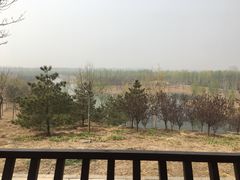 -东郊湿地公园