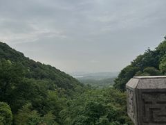 -韬光茶庵