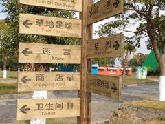 -上海都市菜园