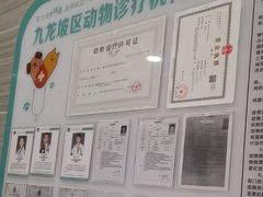-瑞派名望志远动物医院·猫科·內科·异宠专科(直港大道店)