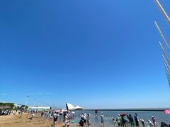 -碧海金沙