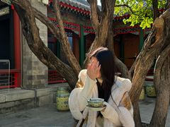 -宫事颐庭·老佛爷贵寿下午茶(颐和园店)