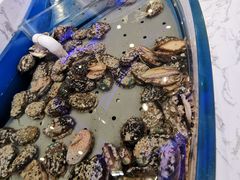 -澜悦港海鲜体验主题餐厅