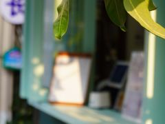 -溪岸路花鸟市场