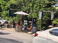 -Fern Forest Cafe