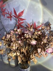 -轻妆Feel·半永久纹眉眼线