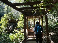 -大岭沟猕猴桃谷风景区