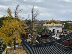 -上海东林寺(金山区)