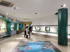 -上海昆虫博物馆