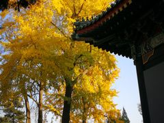 -国家图书馆·古籍馆