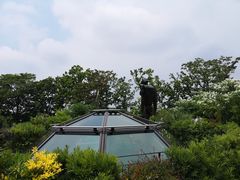 -三鹰之森吉卜力美术馆