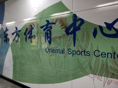 -东方体育中心(地铁站)