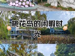 -金鸡湖桃花岛
