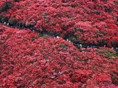 -木兰云雾山