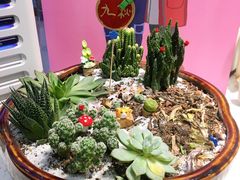 -九秋茶铺(三里屯店)