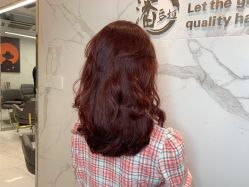 -潘多拉Hairsalon