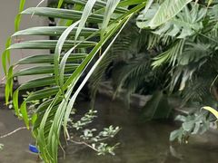 -漫笙舍Manse·咖啡·民宿