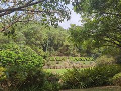 -深圳国际园林花卉博览园