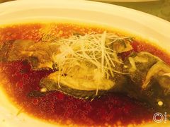 -天禄华美达广场酒店-雅兰轩中餐厅(青年路店)