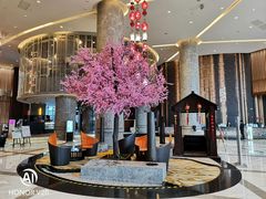-扬州皇冠假日酒店